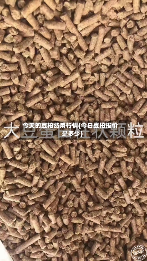 今天的豆柏费用行情(今日豆柏报价是多少)-第1张图片