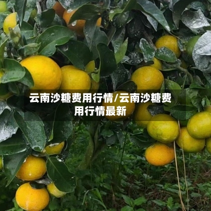 云南沙糖费用行情/云南沙糖费用行情最新-第1张图片