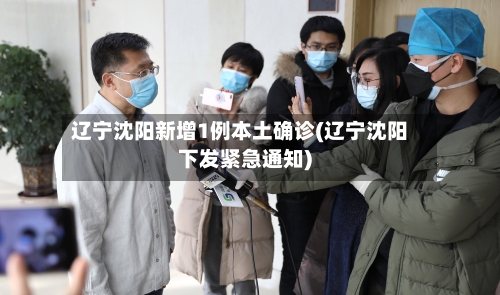 辽宁沈阳新增1例本土确诊(辽宁沈阳下发紧急通知)-第1张图片