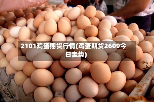 2101鸡蛋期货行情(鸡蛋期货2609今日走势)-第1张图片