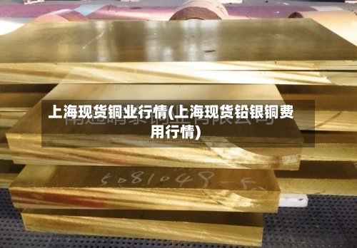 上海现货铜业行情(上海现货铅银铜费用行情)-第1张图片