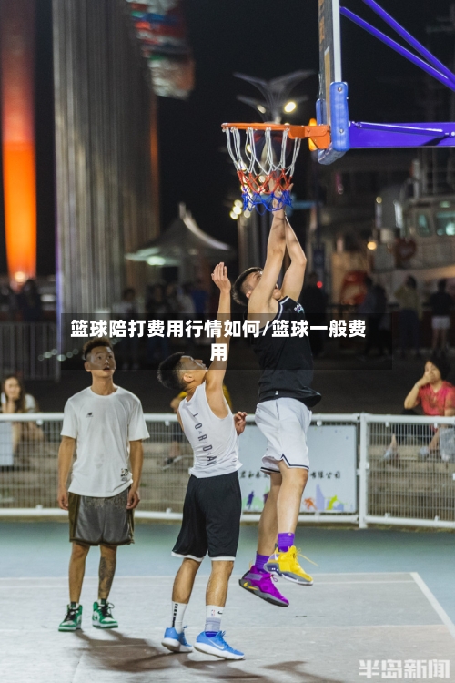 篮球陪打费用行情如何/篮球一般费用-第1张图片