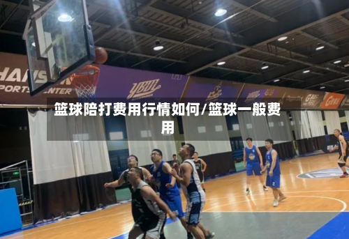 篮球陪打费用行情如何/篮球一般费用-第2张图片