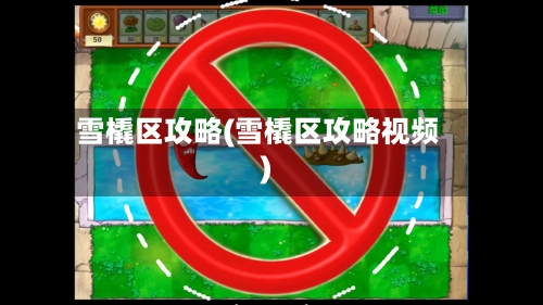 雪橇区攻略(雪橇区攻略视频)
