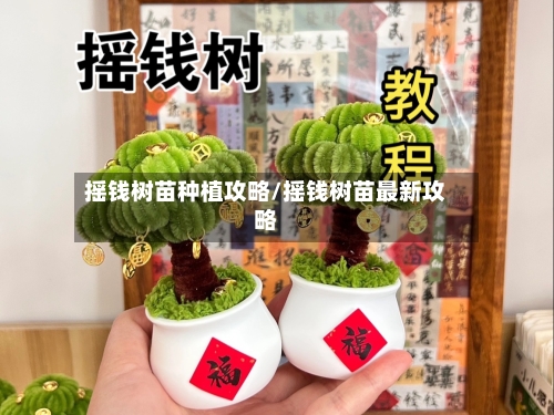 摇钱树苗种植攻略/摇钱树苗最新攻略-第1张图片