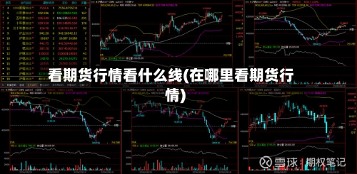 看期货行情看什么线(在哪里看期货行情)-第1张图片