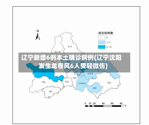 辽宁新增6例本土确诊病例(辽宁沈阳发生龙卷风6人受轻微伤)-第1张图片