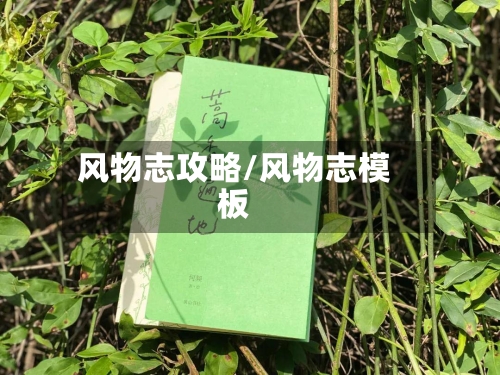 风物志攻略/风物志模板-第1张图片