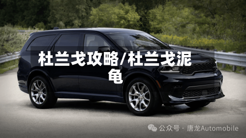 杜兰戈攻略/杜兰戈泥龟-第1张图片