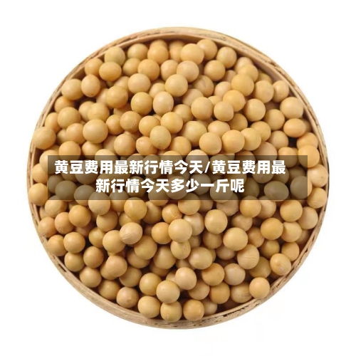 黄豆费用最新行情今天/黄豆费用最新行情今天多少一斤呢-第1张图片
