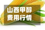 山西甲醇费用行情/甲醇山西今日费用行情-第1张图片