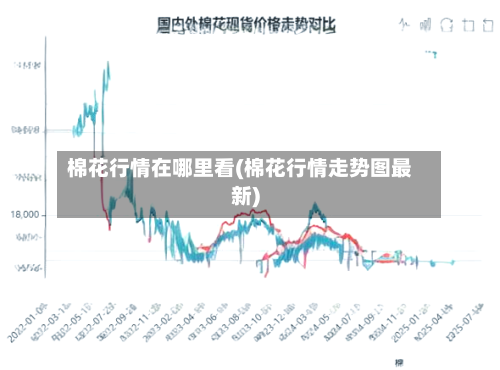 棉花行情在哪里看(棉花行情走势图最新)-第2张图片