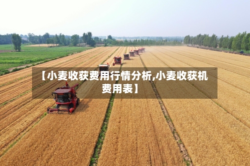 【小麦收获费用行情分析,小麦收获机费用表】-第1张图片