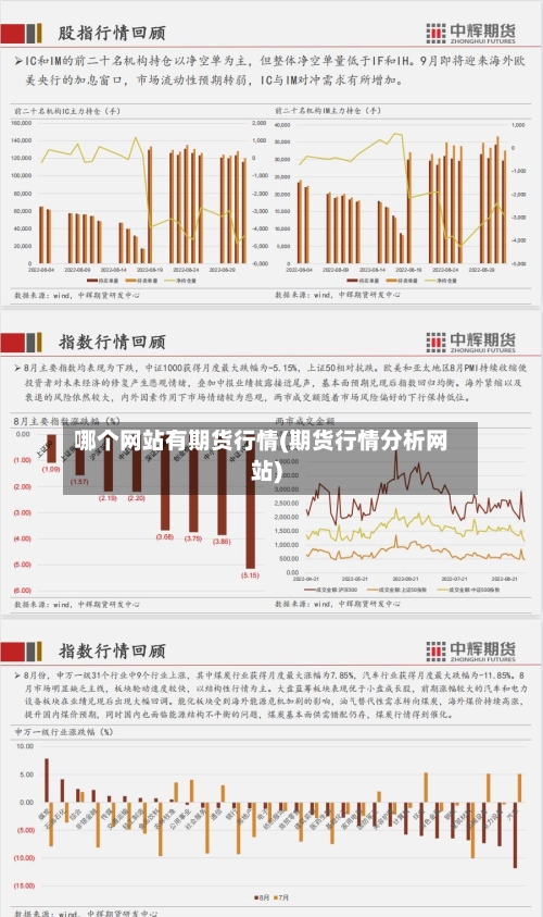 哪个网站有期货行情(期货行情分析网站)-第2张图片