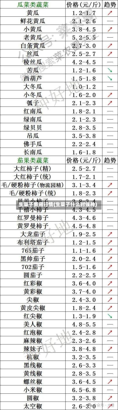 生菜子费用行情(生菜子什么时候种)-第1张图片