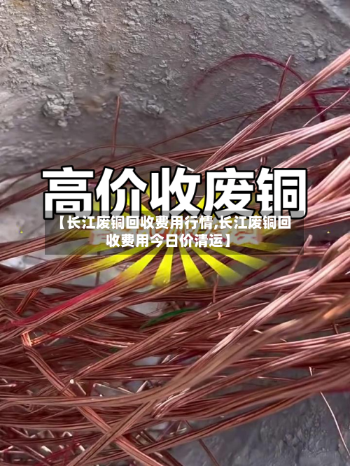 【长江废铜回收费用行情,长江废铜回收费用今日价清运】-第1张图片