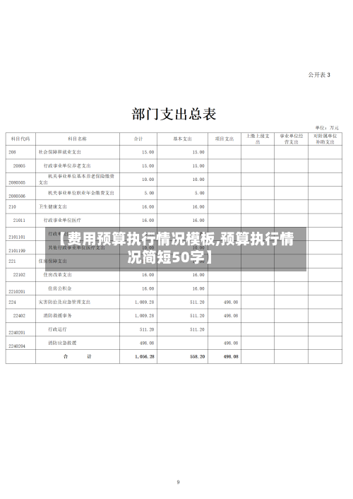 【费用预算执行情况模板,预算执行情况简短50字】-第1张图片