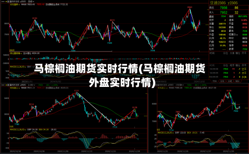 马棕榈油期货实时行情(马棕榈油期货外盘实时行情)-第1张图片