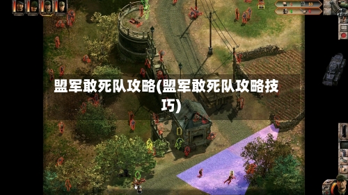 盟军敢死队攻略(盟军敢死队攻略技巧)-第1张图片