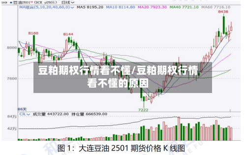 豆粕期权行情看不懂/豆粕期权行情看不懂的原因-第1张图片