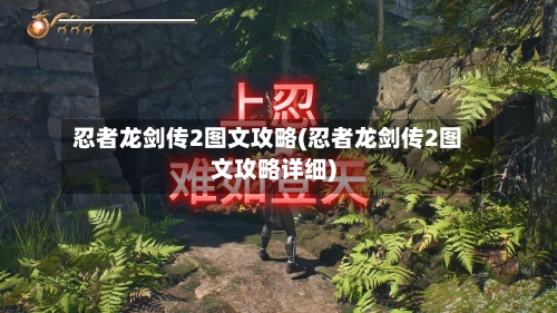 忍者龙剑传2图文攻略(忍者龙剑传2图文攻略详细)-第1张图片
