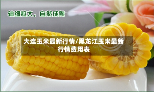 大连玉米最新行情/黑龙江玉米最新行情费用表-第2张图片