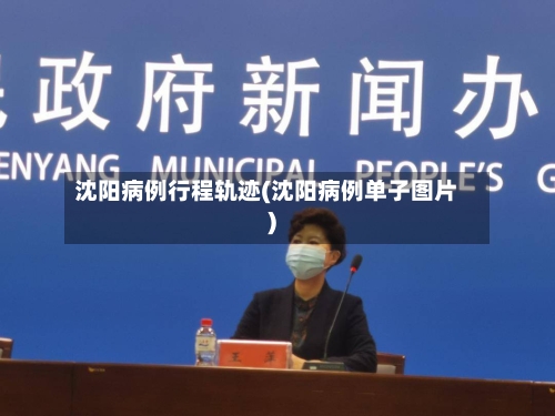 沈阳病例行程轨迹(沈阳病例单子图片)-第1张图片