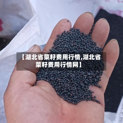 【湖北省菜籽费用行情,湖北省菜籽费用行情网】-第1张图片