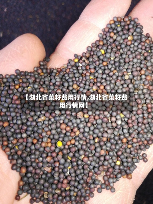 【湖北省菜籽费用行情,湖北省菜籽费用行情网】-第2张图片