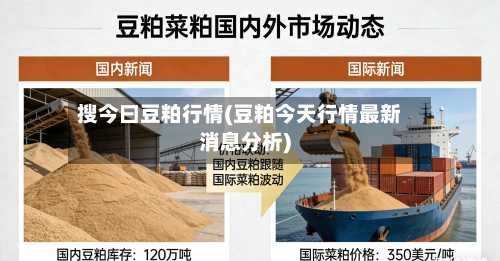 搜今曰豆粕行情(豆粕今天行情最新消息分析)-第1张图片
