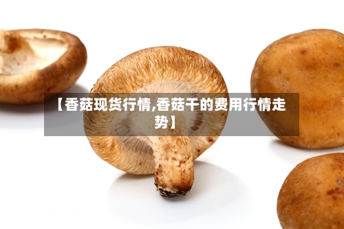 【香菇现货行情,香菇干的费用行情走势】-第1张图片
