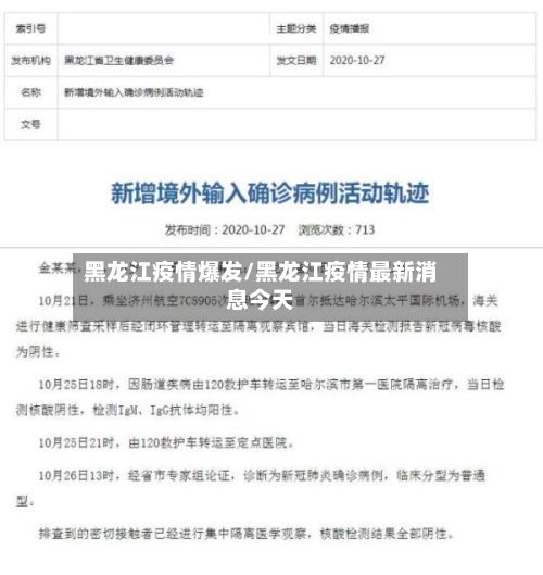 黑龙江疫情爆发/黑龙江疫情最新消息今天-第1张图片