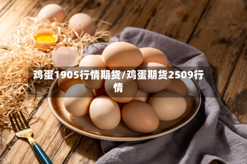 鸡蛋1905行情期货/鸡蛋期货2509行情-第1张图片