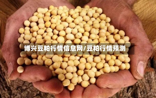 博兴豆粕行情信息网/豆粕行情预测-第2张图片