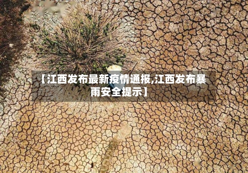 【江西发布最新疫情通报,江西发布暴雨安全提示】-第2张图片