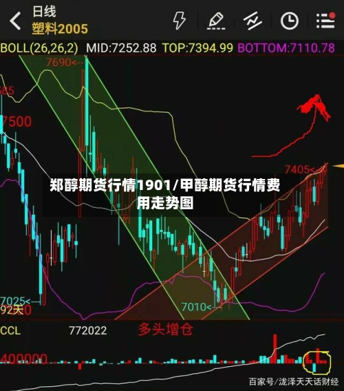 郑醇期货行情1901/甲醇期货行情费用走势图-第1张图片