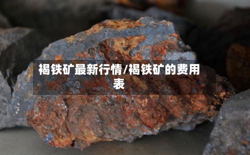 褐铁矿最新行情/褐铁矿的费用表-第1张图片