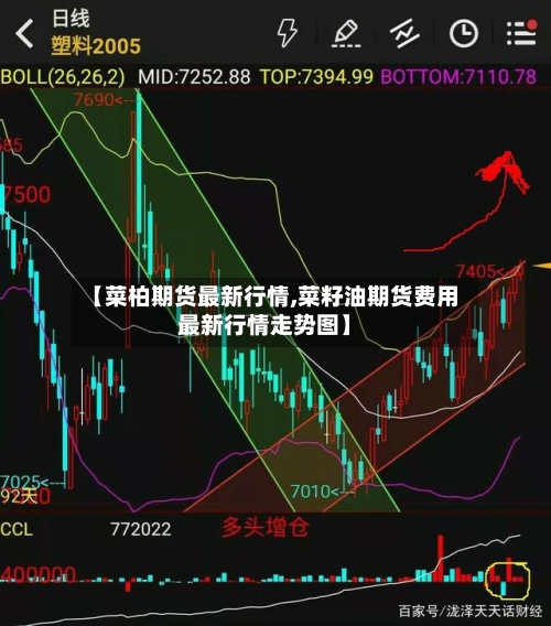 【菜柏期货最新行情,菜籽油期货费用最新行情走势图】-第1张图片