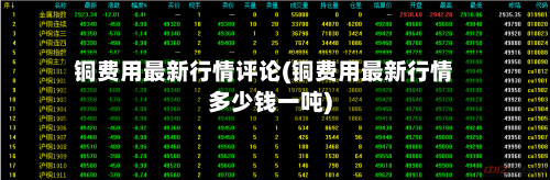 铜费用最新行情评论(铜费用最新行情多少钱一吨)-第2张图片
