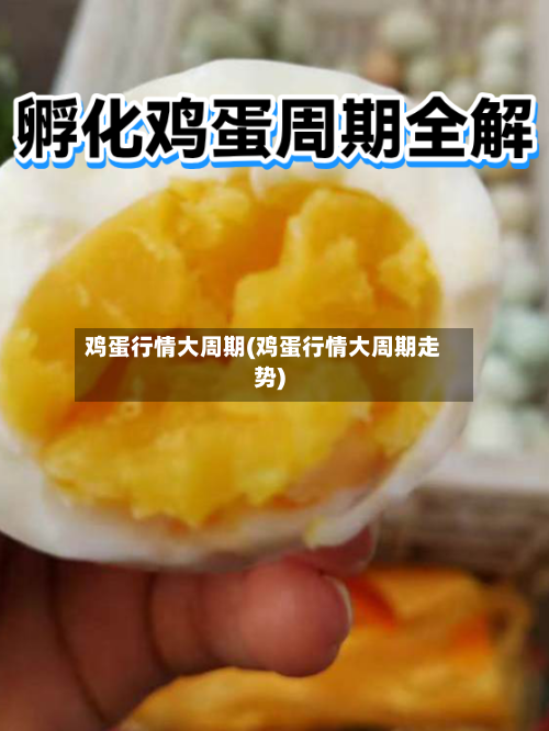 鸡蛋行情大周期(鸡蛋行情大周期走势)-第1张图片