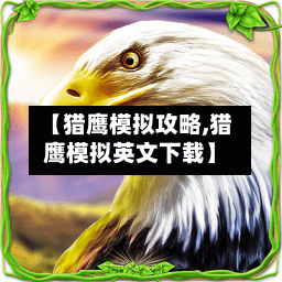 【猎鹰模拟攻略,猎鹰模拟英文下载】-第1张图片