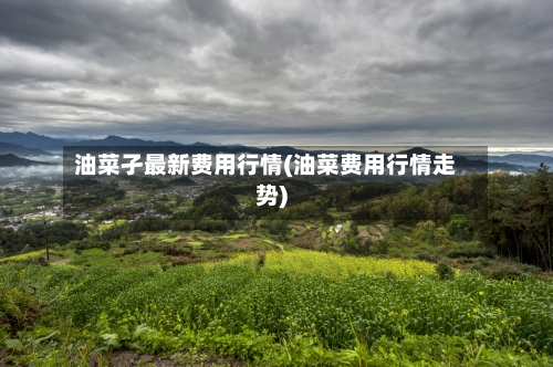 油菜孑最新费用行情(油菜费用行情走势)-第1张图片