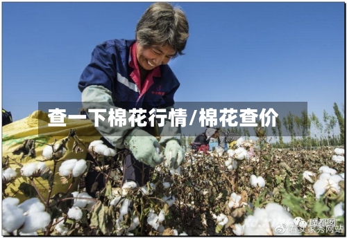 查一下棉花行情/棉花查价-第1张图片
