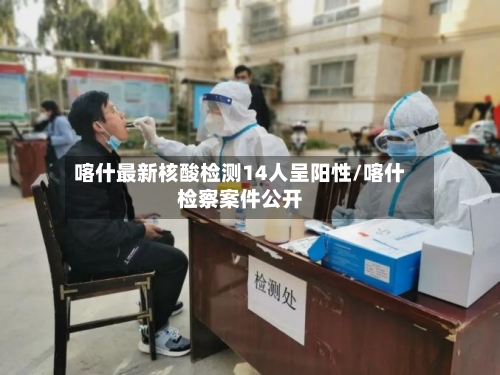 喀什最新核酸检测14人呈阳性/喀什检察案件公开-第2张图片