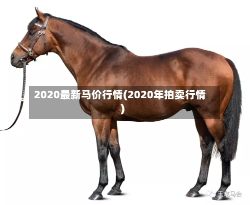 2020最新马价行情(2020年拍卖行情)-第1张图片