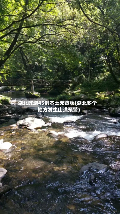 湖北昨增45例本土无症状(湖北多个地方发生山洪预警)-第1张图片