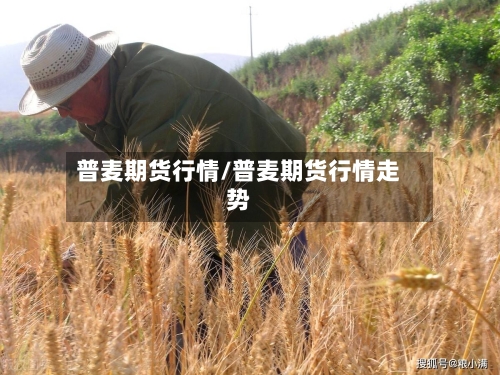 普麦期货行情/普麦期货行情走势-第1张图片