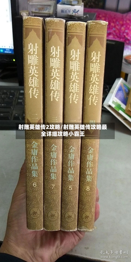 射雕英雄传2攻略/射雕英雄传攻略最全详细攻略小霸王-第2张图片