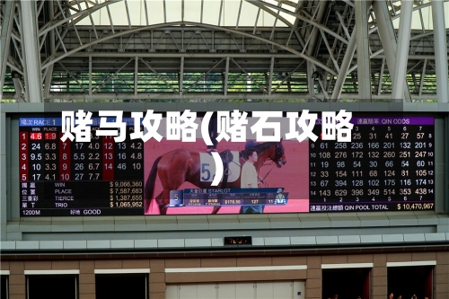 赌马攻略(赌石攻略)