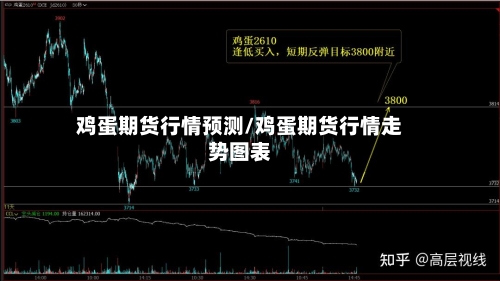 鸡蛋期货行情预测/鸡蛋期货行情走势图表-第2张图片